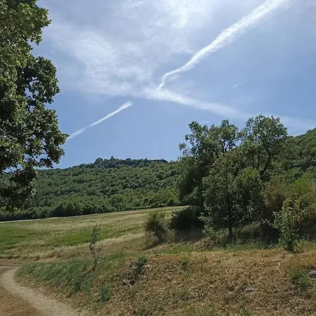 Avec Piscine 