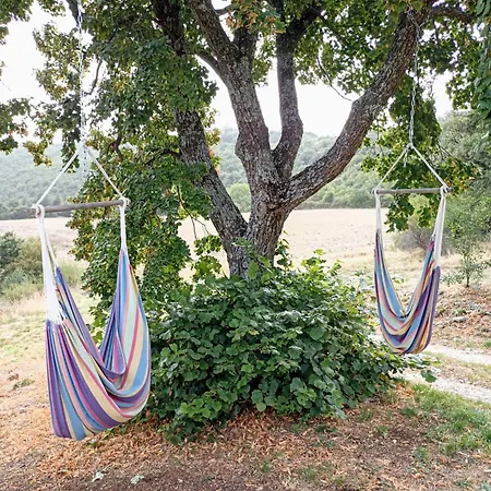 Ferienhaus Avec Piscine 